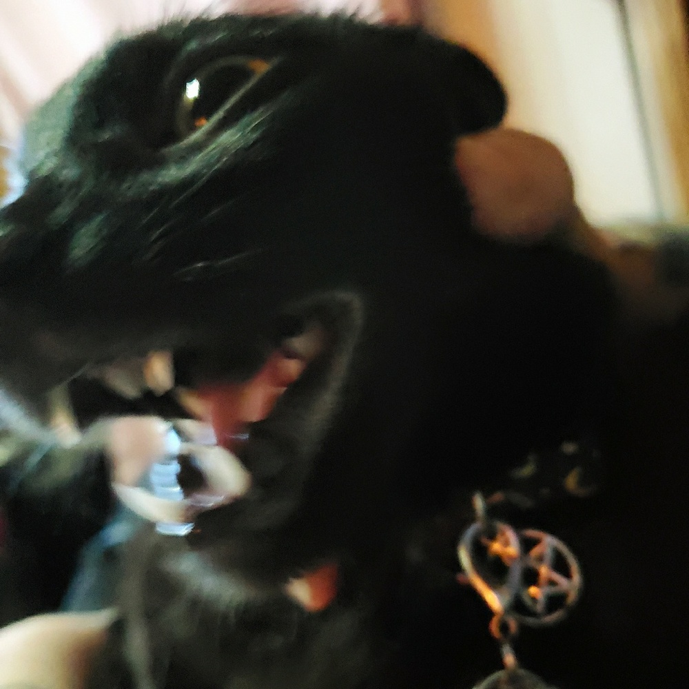 Meet your Posher, Miz